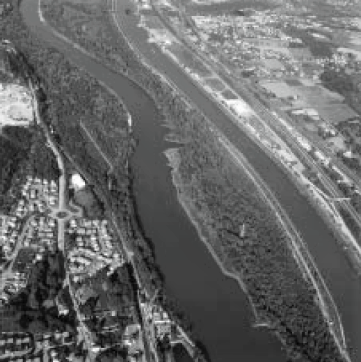 Photographie de l'île de la Table Ronde sur le Rhône aval